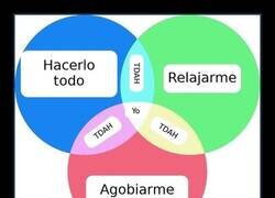Enlace a Mi diagrama de Venn vital