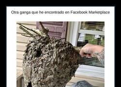 Enlace a Otra ganga de Facebook Marketplace