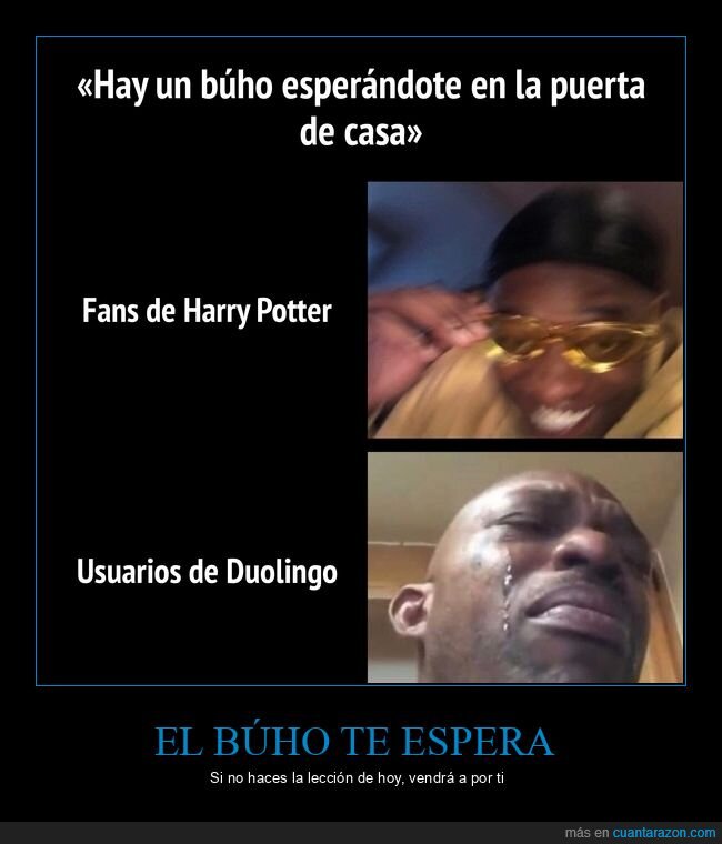 duolingo,harry potter,b&uacute;ho,idiomas