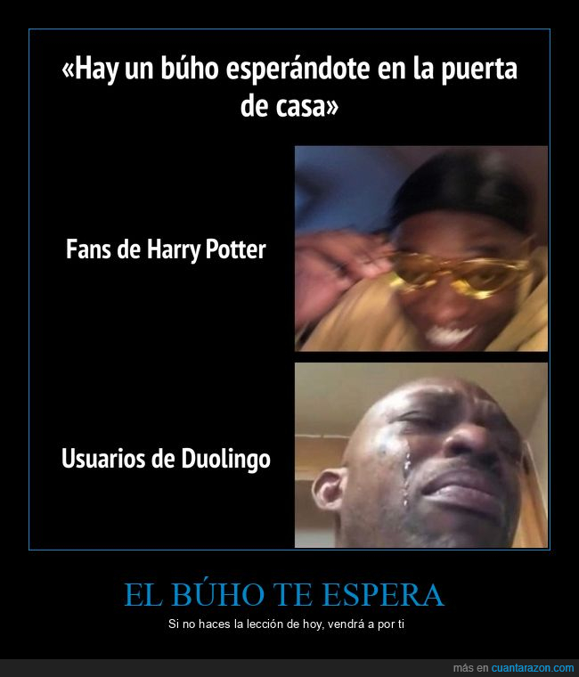 duolingo,harry potter,b&uacute;ho,idiomas