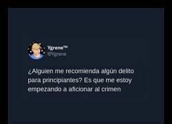 Enlace a Busco delitos para principiantes