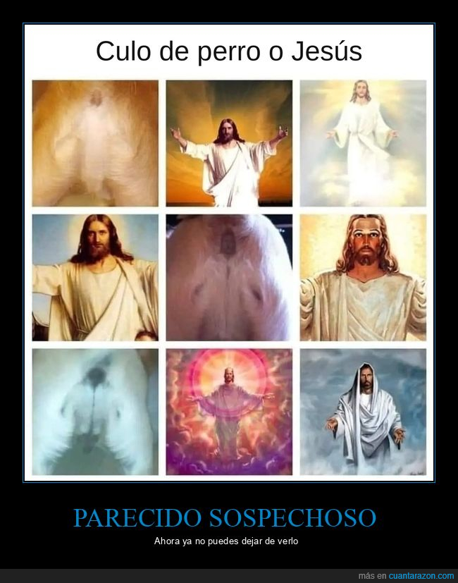 perros,Jes&uacute;s,parecidos,culo