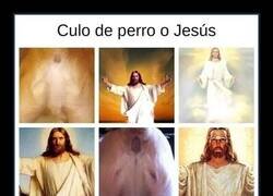 Enlace a ¿Culo de perro o Jesús?