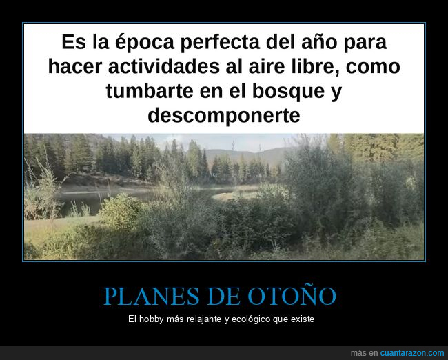 oto&ntilde;o,bosque,humor negro,planes