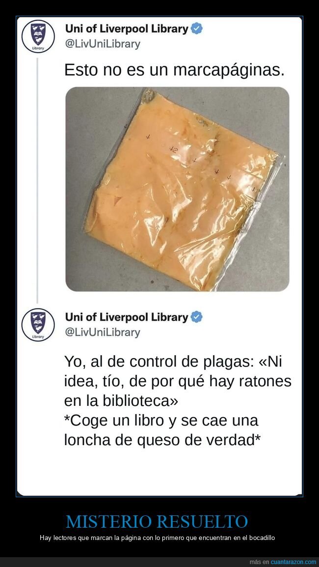 bibliotecas,queso,ratones,libros