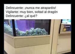 Enlace a ¡Soltad al dragón!