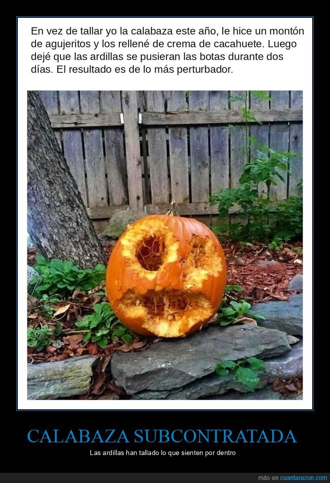 calabaza,ardillas,halloween,crema de cacahuete
