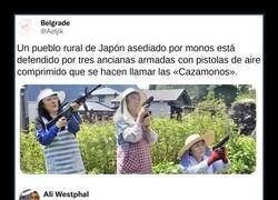 Enlace a El pueblo japonés defendido por tres abuelas cazamonos