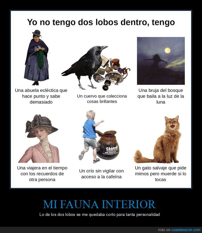 lobos,personalidad,gatos,cuervos,cafe&iacute;na