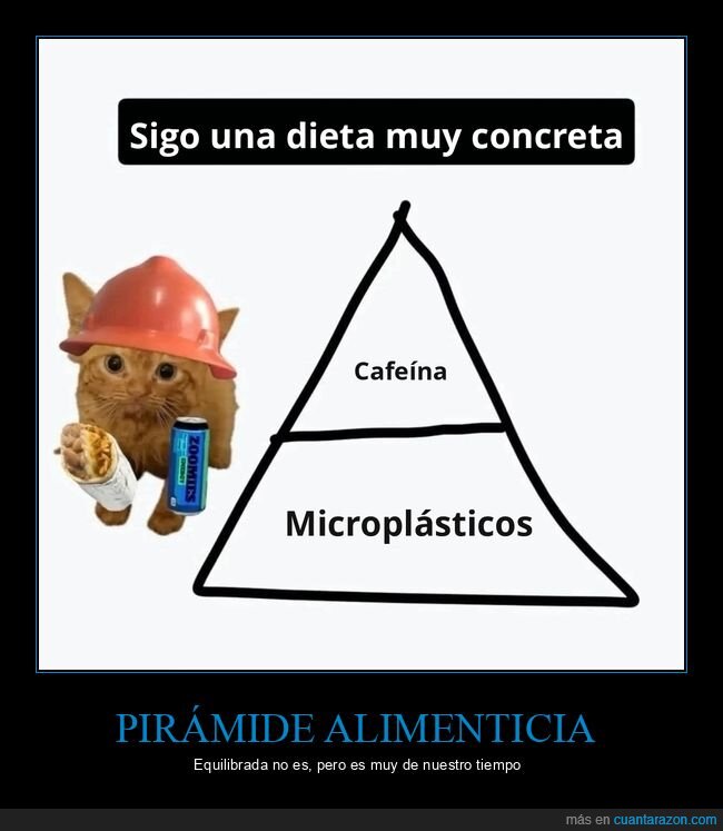 dieta,cafe&iacute;na,micropl&aacute;sticos,gato
