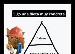 Enlace a Sigo una dieta muy concreta
