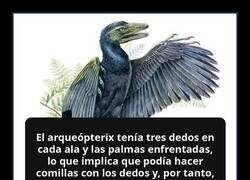 Enlace a El arqueópterix y el sarcasmo