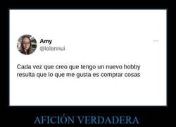 Enlace a Mi nuevo hobby favorito