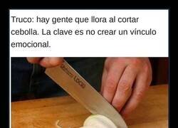 Enlace a El truco para cortar cebolla sin llorar