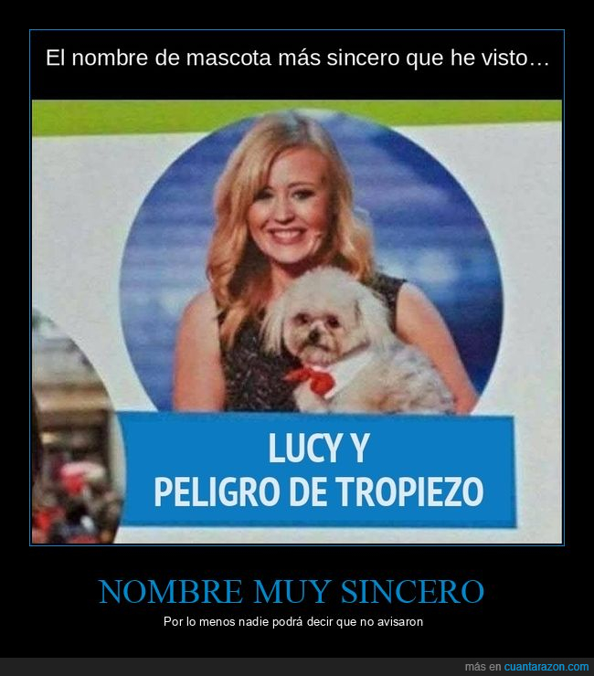 perro,mascota,nombre,sinceridad