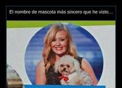 Enlace a El nombre de mascota más sincero