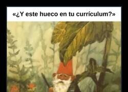 Enlace a ¿Y este hueco en tu currículum?