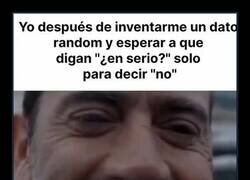 Enlace a El placer de soltar una mentira y ver cómo se desmorona todo