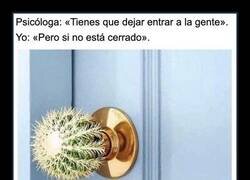 Enlace a Terapia con trampa
