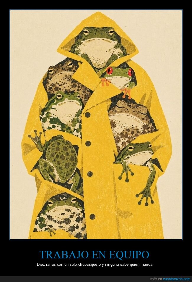 ranas,impermeable,amarillo,grupo,ilustraci&oacute;n