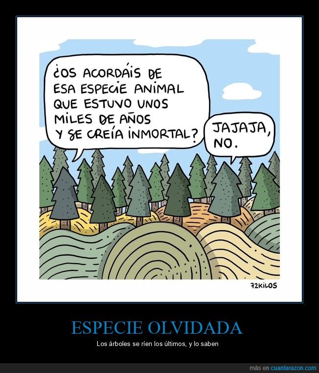 extinci&oacute;n,&aacute;rboles,humanidad,bosque,autocomplacencia