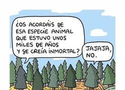 Enlace a Los árboles comentando el fracaso humano como quien cotillea en el bar
