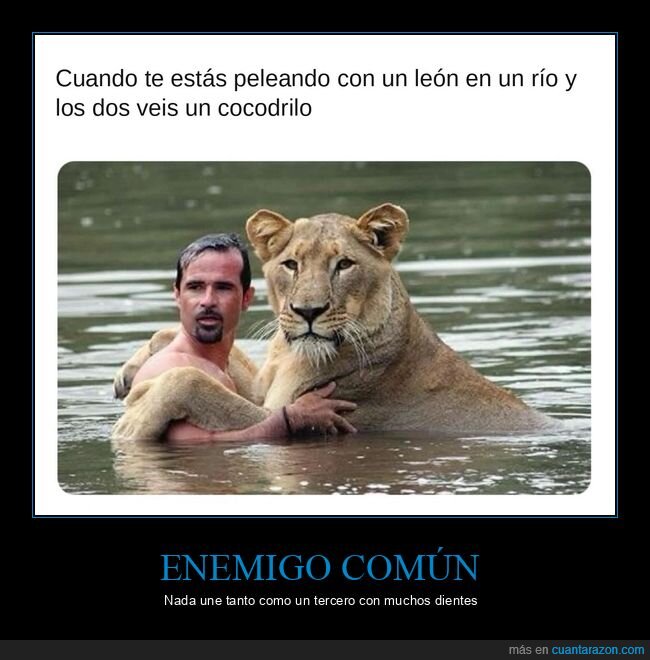 leones,cocodrilos,r&iacute;o,animales
