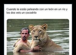 Enlace a La alianza más rápida del reino animal