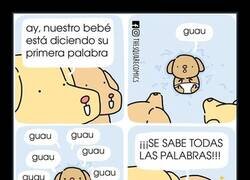 Enlace a Su primera palabra fue «guau»