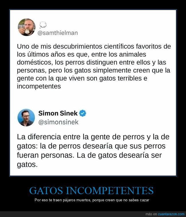 gatos,perros,mascotas,ciencia,tuits