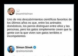 Enlace a Los gatos creen que somos gatos muy torpes
