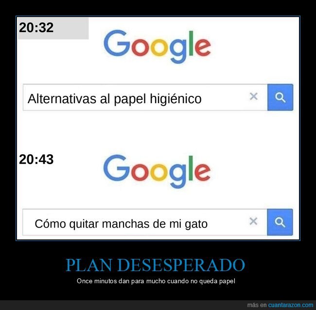google,gatos,papel higi&eacute;nico,b&uacute;squedas