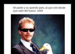 Enlace a El pato y su dueño, dupla imbatible