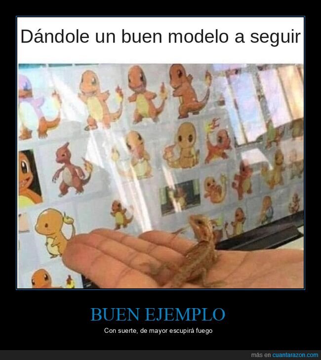 pok&eacute;mon,charmander,lagarto,mascotas