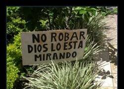 Enlace a El sistema de seguridad más barato del mercado