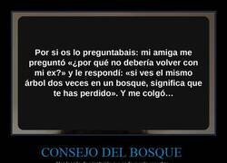 Enlace a El mejor consejo para no volver con tu ex