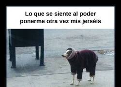 Enlace a Por fin llega la época de ir por la calle como un burrito humano