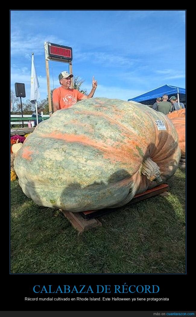 calabaza,r&eacute;cord,agricultura,Rhode Island,cosecha