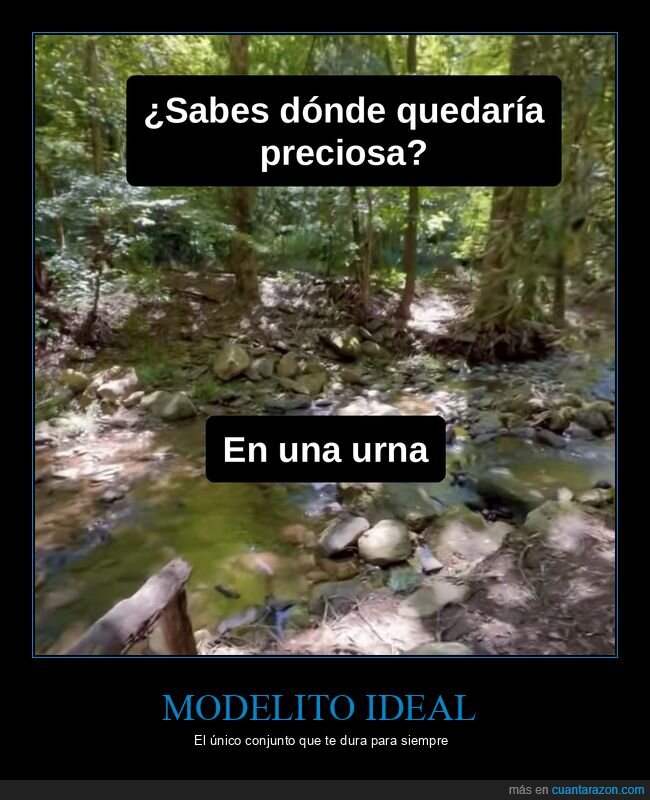 humor negro,urna,muerte,moda