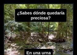 Enlace a ¿Sabes dónde quedaría precioso?