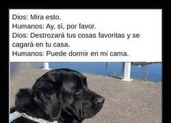 Enlace a Dios nos presentó al perro y aceptamos sin leer la letra pequeña