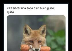 Enlace a Hoy en casa de los zorros hay puchero