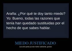 Enlace a Le tenía miedo a la araña y ahora además habla