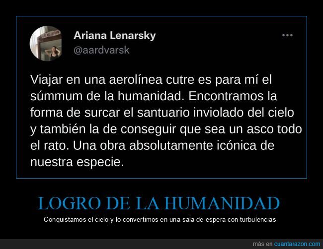 aviones,aerol&iacute;neas,viajes,humanidad,tuit