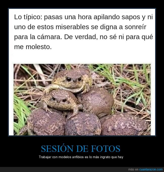 sapos,animales,fotograf&iacute;a,attenborough,naturaleza