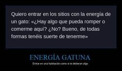 Enlace a La energía de un gato al entrar en una habitación