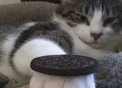Enlace a El relleno de Oreo que nadie esperaba
