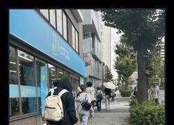Enlace a Un señor en Japón paseando a su tortuga por la calle