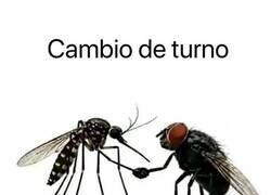 Enlace a El cambio de turno de los bichos