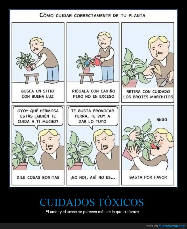 planta,cuidados,relaciones,acoso,jardiner&iacute;a